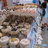 IMG_0053