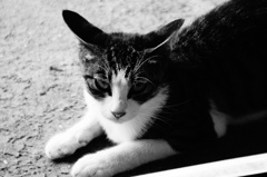 DSC03096