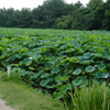 DSCF0373