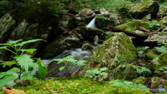 DSC04132
