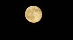 DSC03973