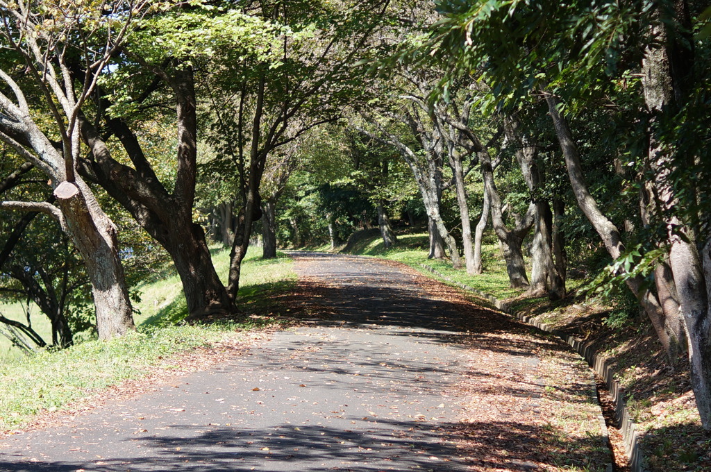 DSC03235