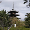 DSCF0052