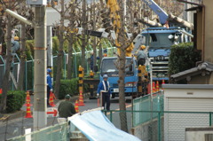 勤労感謝の日４