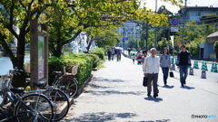DSC04231