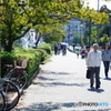 DSC04231