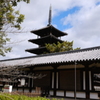 DSCF0049