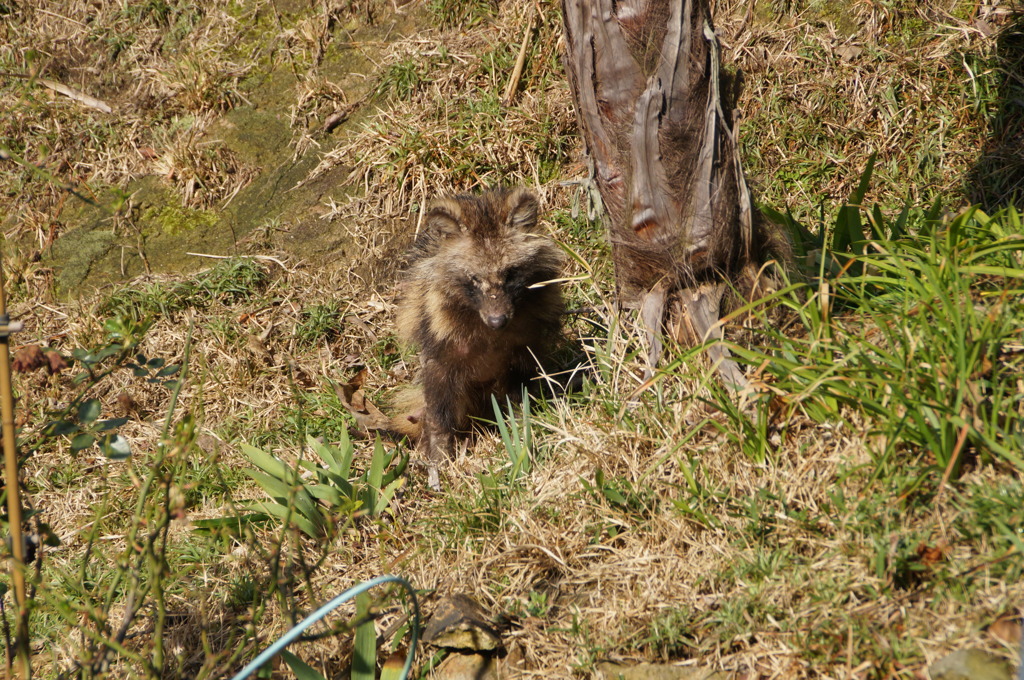 DSC03408