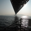 DSCN0110
