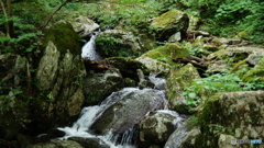 DSC04131