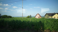 DSC03608