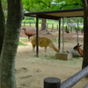 DSCF0450