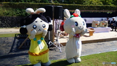 DSC04224