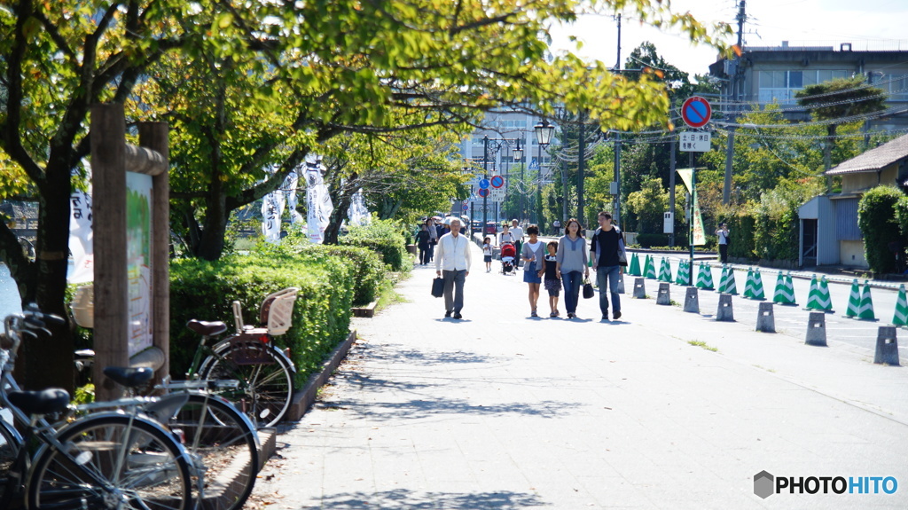DSC04230