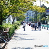 DSC04230