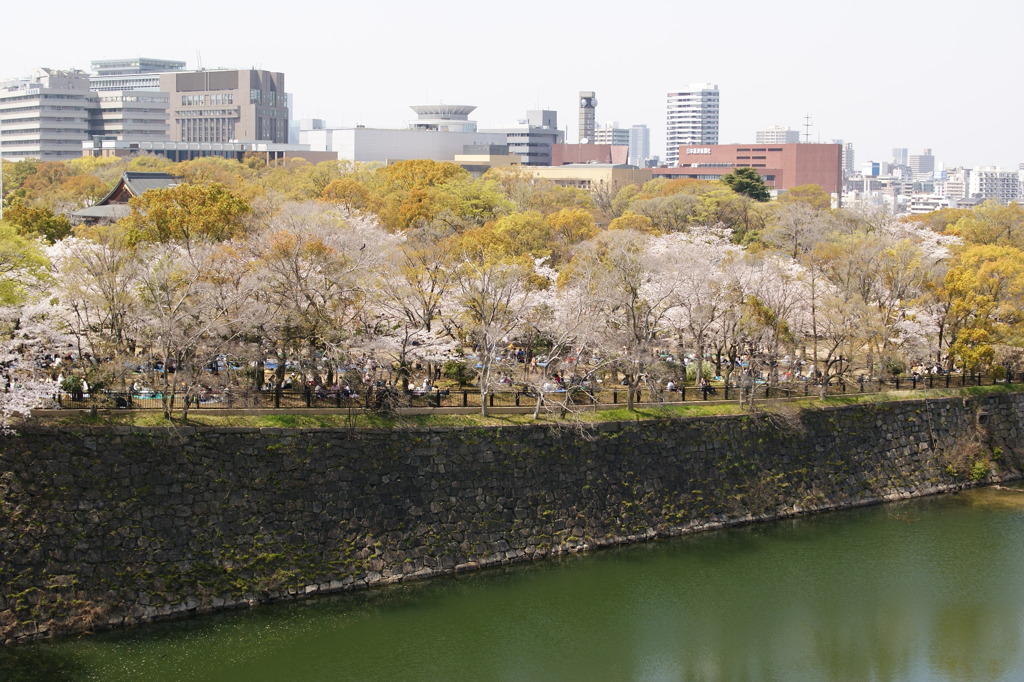 天満橋（春）