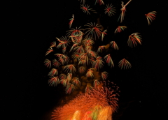 長岡花火大会2012_DSC00666