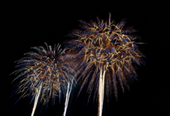 長岡花火大会2012_DSC00752