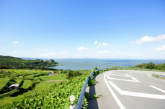 空と海と道と棚田と