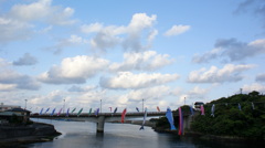 空を泳ぐ
