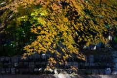 DSC01504