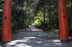 DSC00491