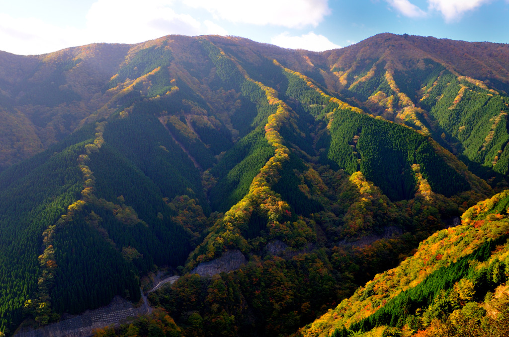 ナメゴ谷遠景