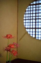 曼珠沙華