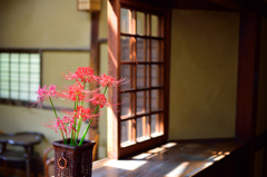 Morning　Light