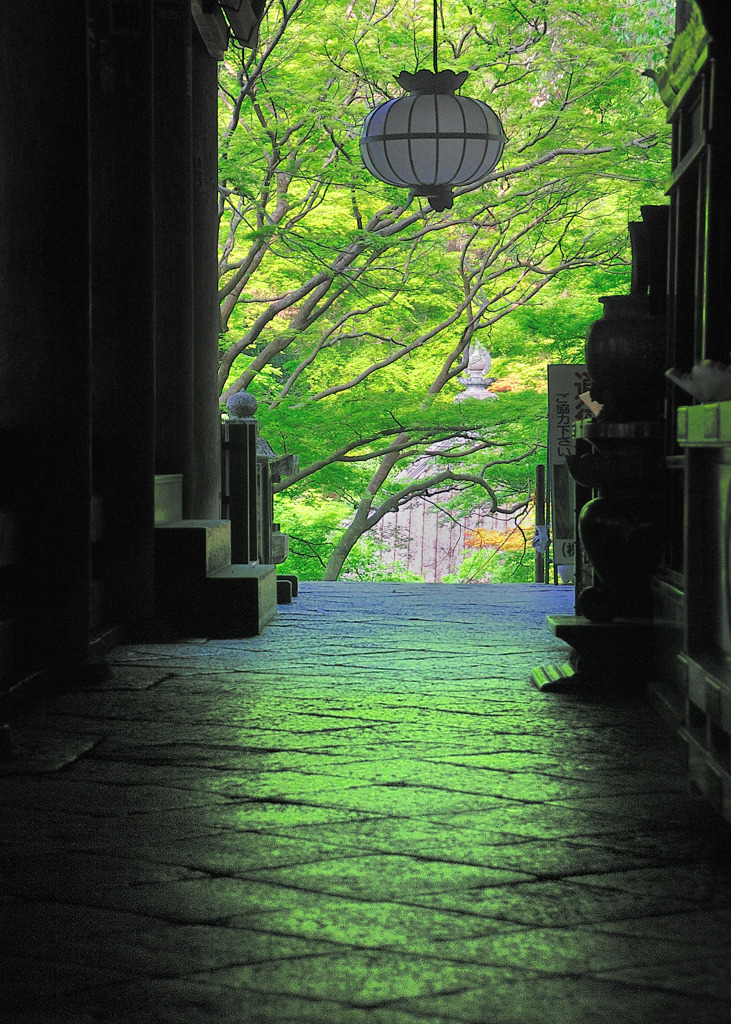 長谷寺　本堂