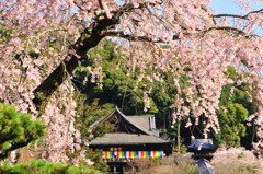 長谷寺