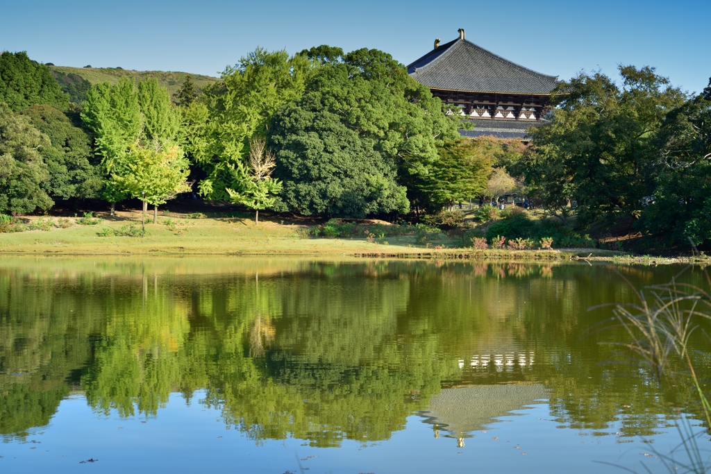 東大寺　大仏殿
