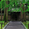 唐招提寺