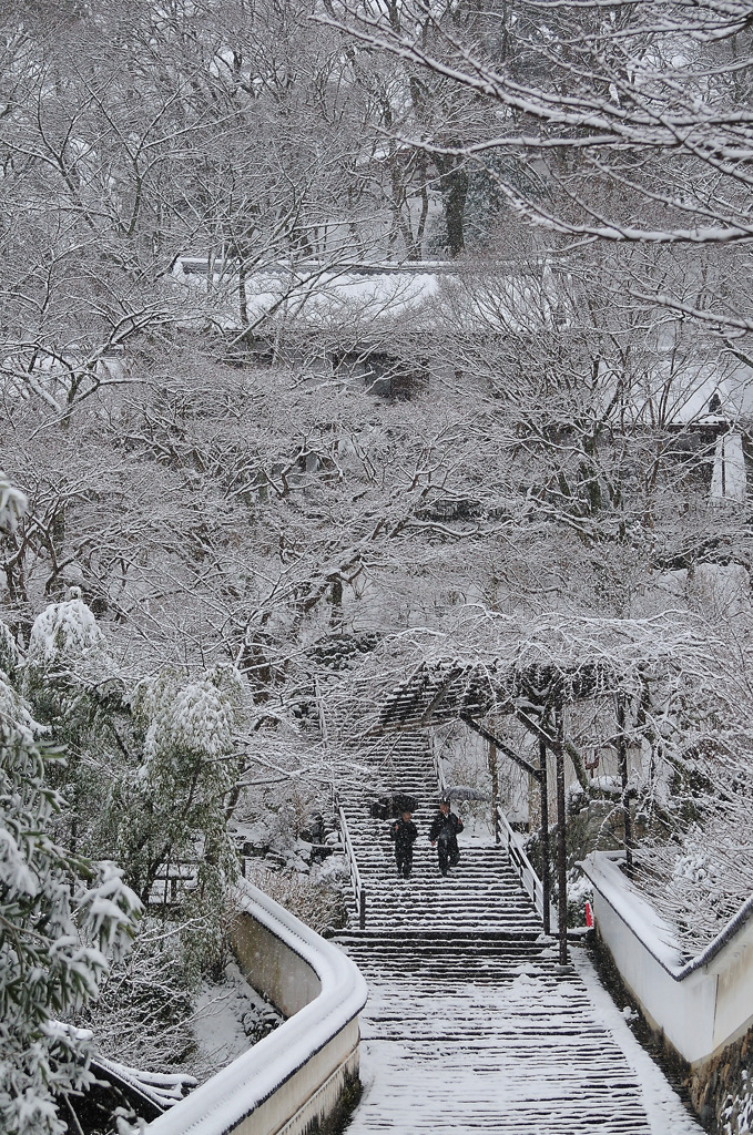 雪の階段