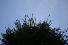 風景