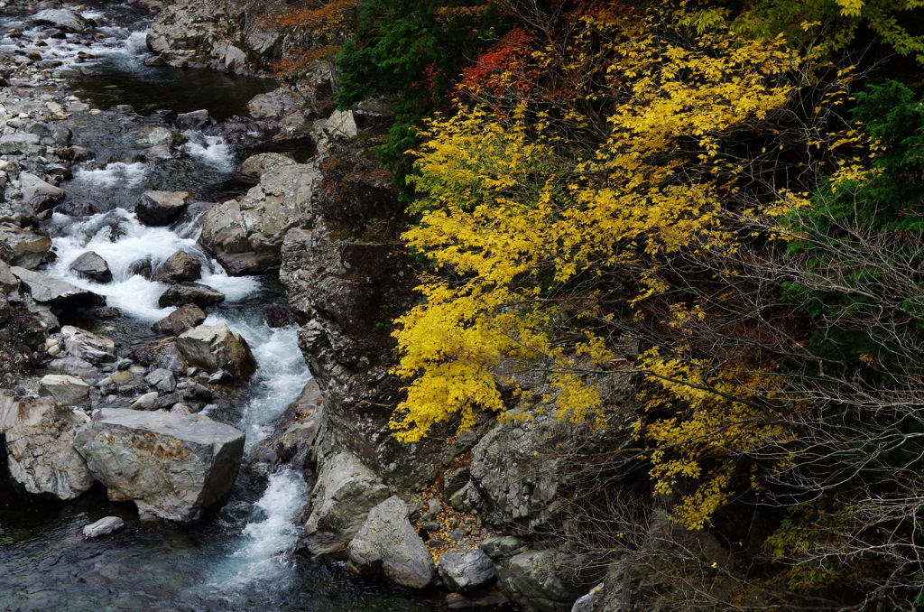 御手洗　渓谷