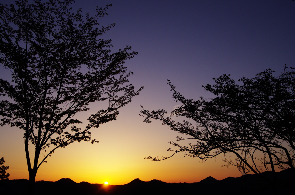 大台ケ原より昇る
