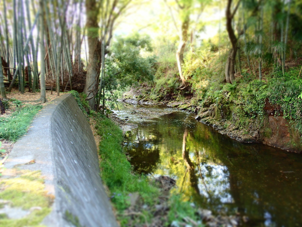 P4280026