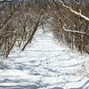 tunnel