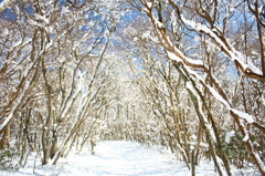 tunnel2