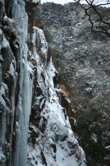 bare hillside