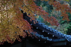 瓦屋根と紅葉