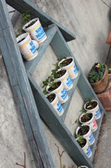 ナ～イス　アイデア！