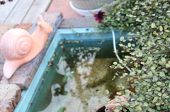 不思議な空間。