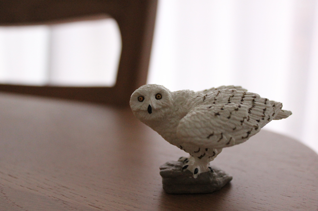 動物園のお土産に買った【ふくろう】のフィギュア