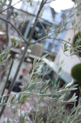 寒い日の・・・。