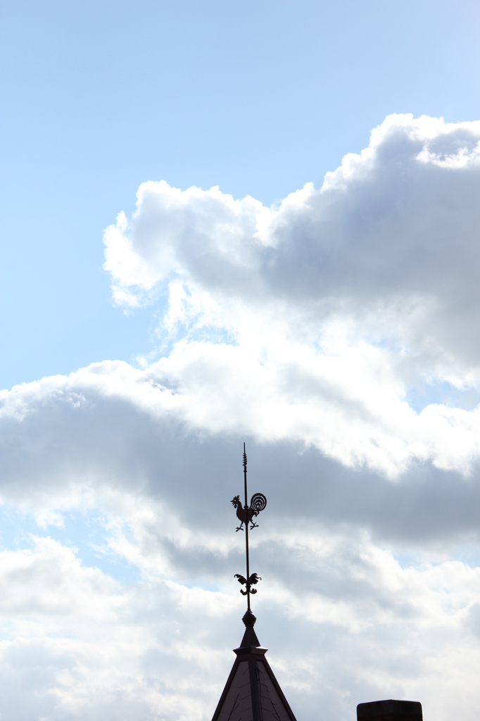 風見鶏の空中散歩。
