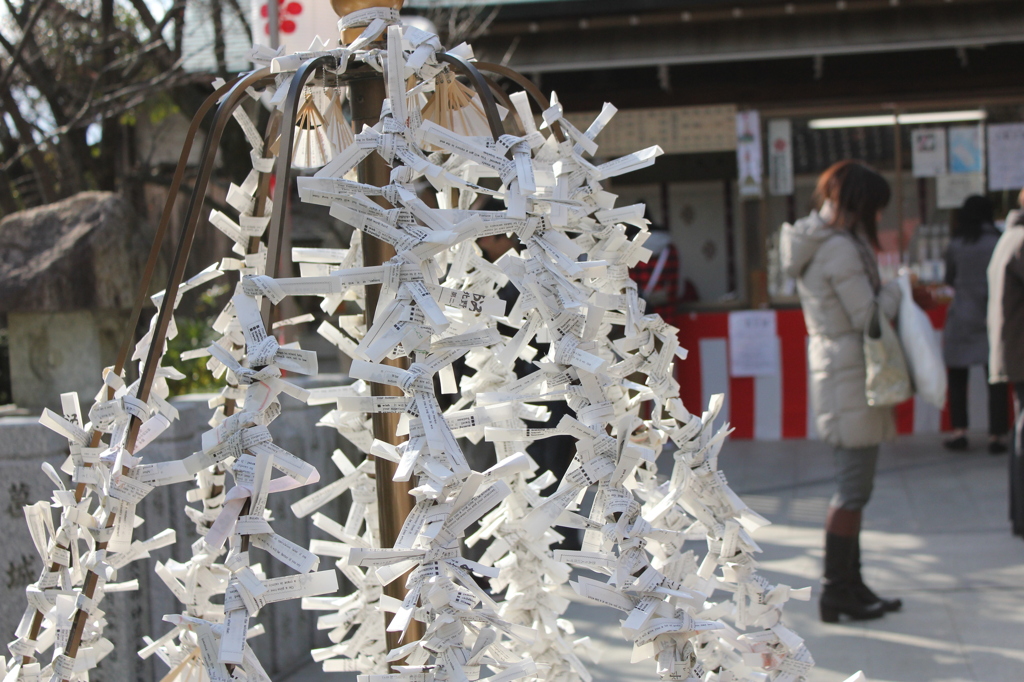 それぞれの願いを込めて。