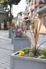 僕、黄色でした。