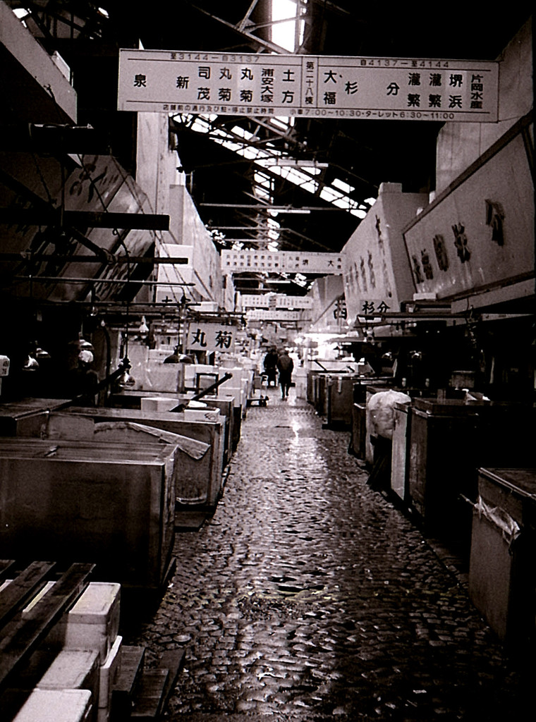 Tsukiji Snap #16